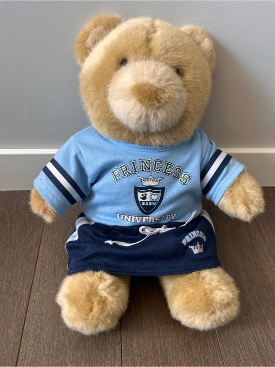 Build-A-Bear Other - Vintage‎ build a bear with 'Princess University' Outfit